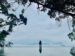 -大埔公路-马料水段香港中文大学(公交站)