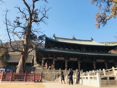 -晋祠公园