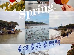 -深圳湾公园(南山区)
