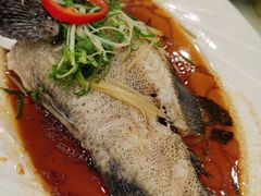 -清心鸡沙田乳鸽店·非遗传承(石溪店)