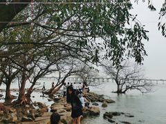 -宝安西湾红树林湿地公园