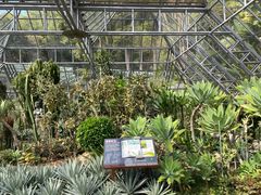-深圳仙湖植物园