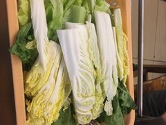 -百利鸽王(紫薇路店)