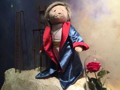 -济州岛泰迪熊博物馆