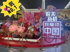-合肥新桥国际机场-航站楼