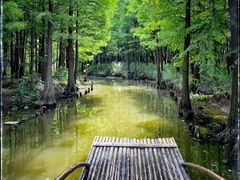 -尚湖风景区