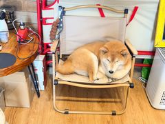 -小时光咖啡馆(开森度假森林店)