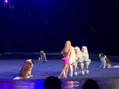 -珠海横琴长隆《卡卡虎奇遇记》