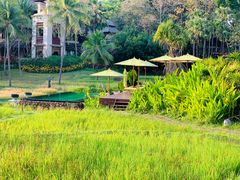 -四季酒店下午茶