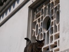 -西园戒幢律寺