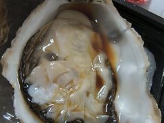 生蚝-冰之海挪威三文鱼(海珠店)