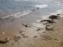 -金梦海湾浴场