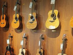 -知音艺术教育培训·钢琴培训·音乐培训(河西金鹰世界校区)