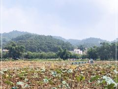 -红山村
