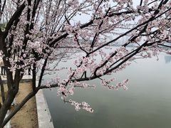 -月湖风景区