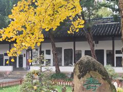 -苏州文庙(姑苏区)