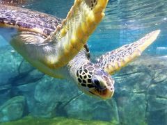 -福州罗源湾海洋世界旅游区