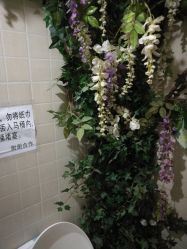 -芳朵美容养生SPA