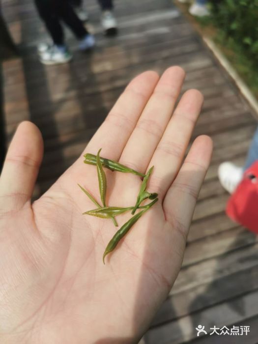 九真山风景区图片