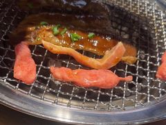 -韩味园果木炭烤鲜肉(陵东街店)
