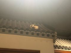 -北平小馆·烤鸭·家常菜(磨房北里店)
