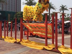-灵玲国际马戏城