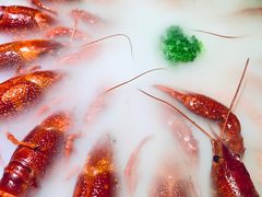 -红盔甲·小龙虾(天钥桥店)