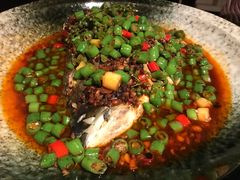 -西郊5号·Maggie 5