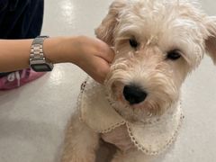 -共舞时光猫咖·狗咖(新街口店)