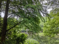 -上海滨江森林公园