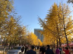 -辽宁大学(崇山校区)