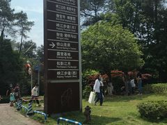 -铁山坪森林公园