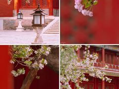 -故宫博物院(故宫)