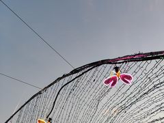 -杨柳青古镇