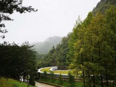 -黎坪国家森林公园