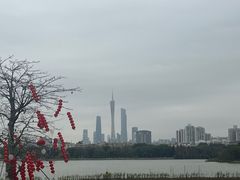 -海珠湖公园