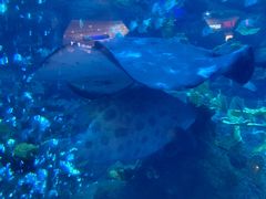 -成都浩海立方海洋公园