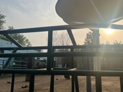 -秦皇岛野生动物园
