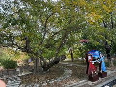 -哈密回王府景区