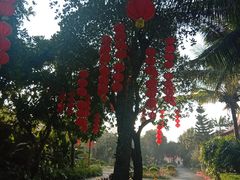 -中澳友谊花园