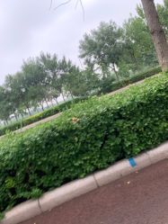 -HEYAN长风荷妍专业脱毛美肤
