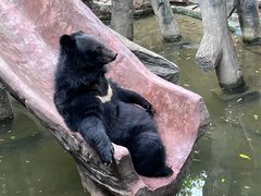 -长鹿旅游休博园
