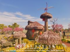 -莘庄梅园