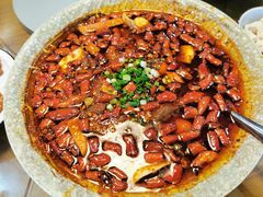 -青城甲(青城山店)