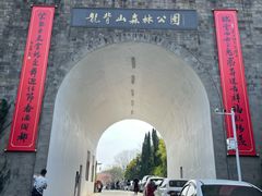 -宜兴龙背山森林公园