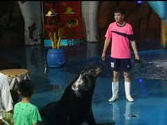 -烟台海昌鲸鲨海洋公园