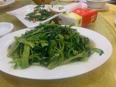-鸿达渔港