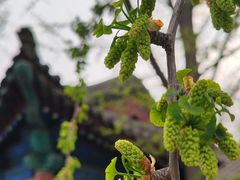 -北京石刻艺术博物馆(五塔寺)