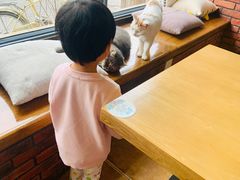 -B.O.M波姆烘焙(凤凰街店)