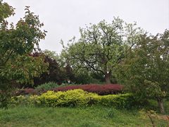 -元大都城垣遗址公园